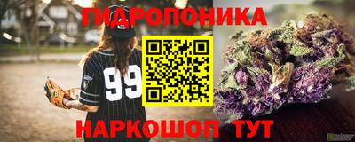 spice Заводоуковск